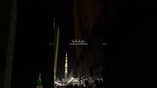 Oh my dear son! Establish prayer | Surah Luqman #qurandaily #quran #quranhour #ummah #islam #salah