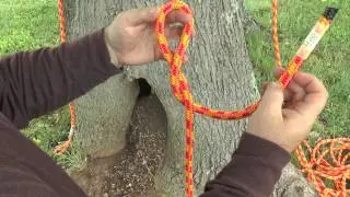Figure Eight