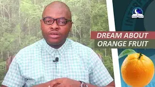 Signification biblique de l'orange en r&ecirc;ve - &Eacute;vang&eacute;liste Joshua Orekhie