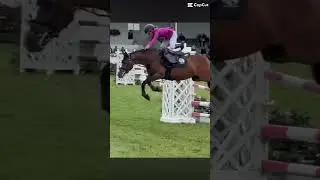 Poor Ivy 😢 @Jumping with Ivy