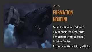 e tribArt Formation Houdini pour FX VFX Motion design 3D temps r&eacute;el