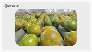 GreenPod Labs Glow-X Citrus Fruit Coating