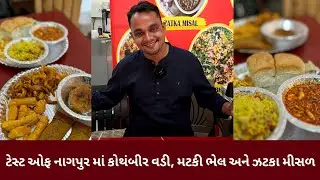 ટેસ્ટ ઓફ નાગપુર માં કોથંબીર વડી, ઝટકા મિસળ, મટકી ભેળ, તરી પૌવા,કટ-વડા જેવી અલગ મહારાષ્ટ્રીયન વાનગીઓ
