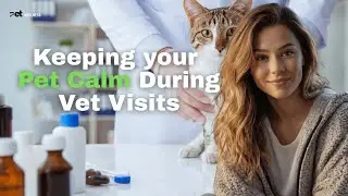 Vet Visits Without the Freak-Out (Calm Pet Secrets)