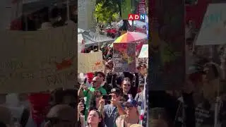 Pedro Pascal fue visto bailando &ldquo;La Cumbia de la Migra&rdquo;