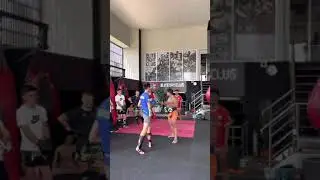 How to Protection by Trainer Gae