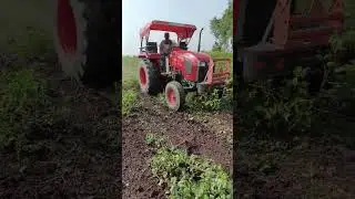 Kubota Mu 5502 || Saras || Cotton || Tractor se cotton nikalana