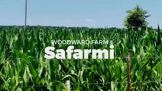 Woodward Farm 