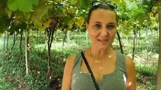 Novo Rural | Roteiro Tur&iacute;stico mostra belezas e potencialidades rurais de Erechim