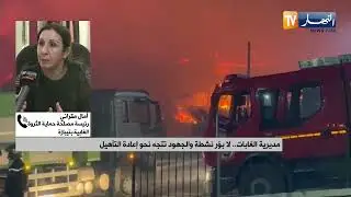 بعد السيطرة على الحرائق .. انطلاق الجرد الأولي وحماية المناطق المتضررة في تيبازة
