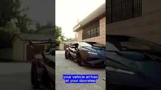 How Auto Shipping Works I Trustline Carriers