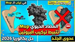 السنة الثالثة ثانوي - حل موضوع 2026 وحدة آليات تركيب البروتين بالمنهجية الصحيحة المضاد الحيوي Mup ✅