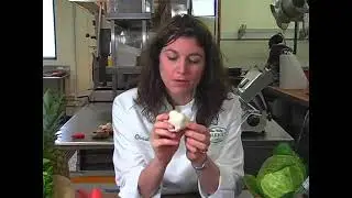 Tips for Buying Garlic