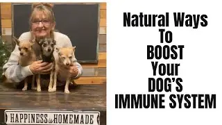 Boost Your Dog's Immune System Naturally: 5 Proven Tips