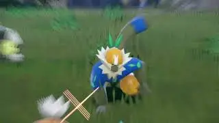 Shiny on Screen: Passimian
