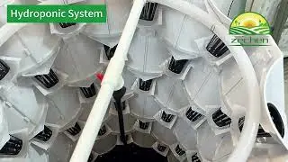 🌱🌱Pineapple Hydroponic Tower: Efficient & Space-Saving Growing System 🌱🌱