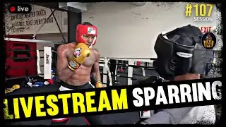 K9 Boxing Livestream: Sparring Session #107