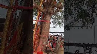 maihar #durga #god #shortfeed