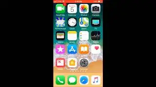 (iOS) Anti Revoke Status November 2017