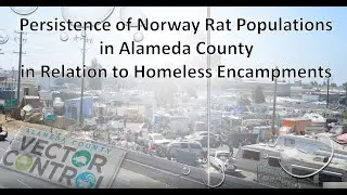 The Persistence of Norway Rat Populations in Alameda County in Relation to Homeless Encampments