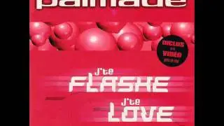 J'te Flashe J'te Love (Radio Edit) - Pierre Palmade & Jean Michel Jarre