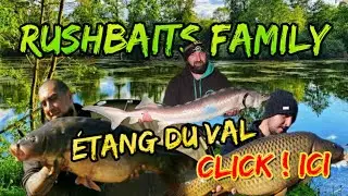 p&ecirc;che de la carpe 2021: &eacute;tang du val #carpe #p&ecirc;che #rushbaits #carpassion  #carpfishing