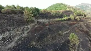 Incendi, qualche giorno dopo... Polvica