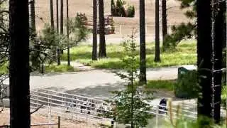 Explore the Washington State Horse Park in Cle Elum, WA