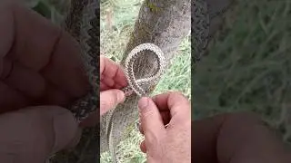 The Only Knot You Need for Camping! Fast, Simple & Strong 🏕️🪢 #CampingHack