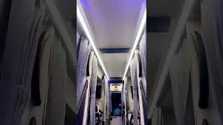 Zingbus maxx 7-star⭐️ #zingbus #travel