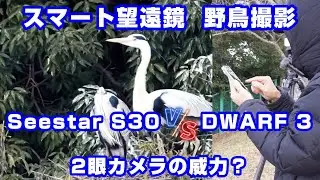 Интеллектуальный телескоп для фотосъемки птиц SeestarS30 против DWARF3: мощь двойной камеры?
