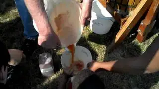 Curran Orchard Cider Squeeze 2011