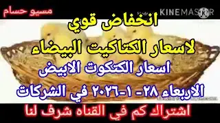 سعر الكتكوت اسعار الكتاكيت اليوم الاربعاء 28-1-2026 في جميع الشركات في مصر 