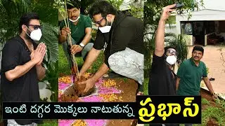 Rebal Star Prabhas Planting Tree's At His House Hyderabad