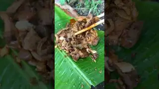 🌿🍲 Goat Tripe with Spicy Spices #short #food#cooking #viral #camping #goat