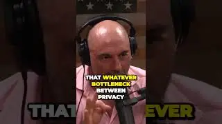 The Future of Privacy and Security in the Age of AI #joerogan #podcast