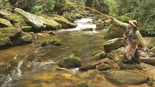 Fly Fishing Holcomb Creek, Georgia