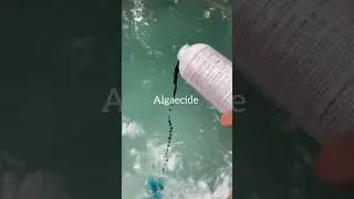 Pool Cleaning. A Foamy Mess! #poolcleaning #poolcleaner #poolwork #poolguy #satisfying #asmr