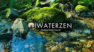 Soothing Waterflow Serene Greenery | Moss On Rocks | 3 Hour Nature Background Screen | Water Sound