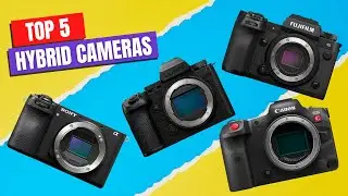 Top Hybrid Cameras to Buy in 2026 &ndash; Don&rsquo;t Waste Money on the Wrong One!
