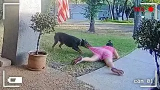 Best Fails of the Month 😂 Try Not to Laugh Challenge
