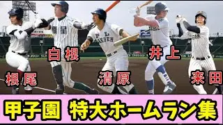 【特大ホームラン】打った瞬間わかる！甲子園ホームラン集【高校野球】