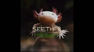 Seether - Weak