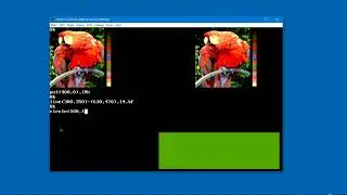 GWBASIC Parrot  -  Real Or Fake #2   Day 117