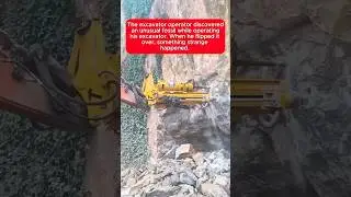 The excavator operator discovered an unusual fossil while operating his excavator. #story #foryou