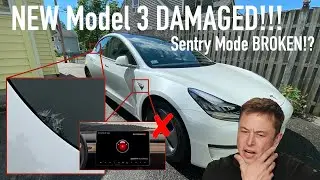 Tesla Model 3 Delivered CRACKED! Sentry Mode Broken! - First Tesla Service Center Experience