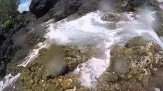 McMaui Trip 2015