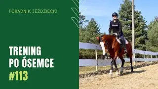TRENING PO &Oacute;SEMCE | Poradnik Jeździecki #113