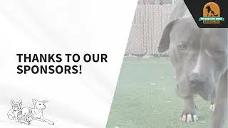 Event Presentation Design for 'My Dog Is My Home' | 3-Day Virtual Conference
