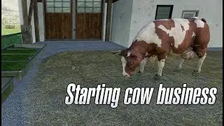 Farming Simulator 19 - We start business with cows